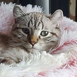 Meet your Posher, Martine